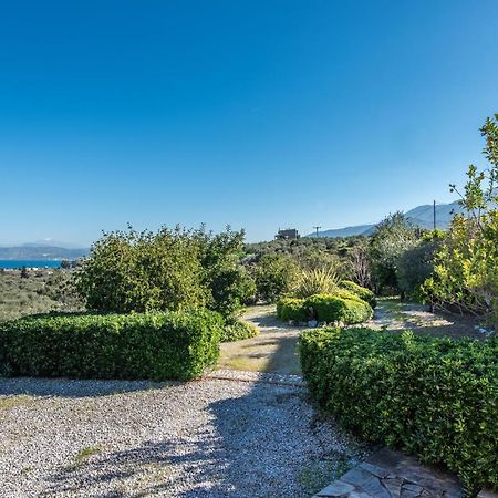 Olive Garden Vila Exopoli Exteriér fotografie